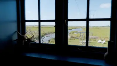 a window with a view of a field seen through it at Boutique Hotel Jongwijs Westzaan in Westzaan