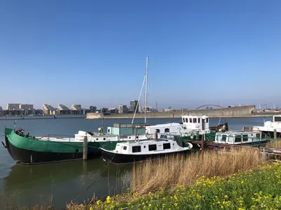 three boats docked at a dock in the water at Floating B&B Amsterdam in Amsterdam