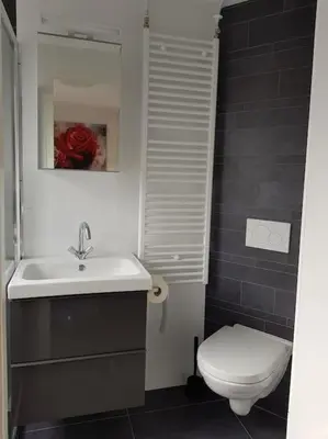 a bathroom with a white sink and a toilet at Zomerhuisje 18K - 1 km van het strand in Wijk aan Zee