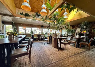 a restaurant with tables and chairs and plants on the ceilings at 