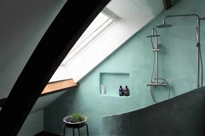 a bathroom with a walk in shower and a sink at Farmhouse bohemian style close to Amsterdam in Waverveen