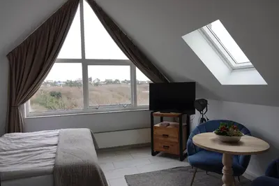 a bedroom with a bed and a tv and a window at Huize de Duinen in Bergen aan Zee