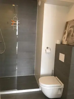 a bathroom with a toilet and a shower at Sterflat 59 in Egmond aan Zee