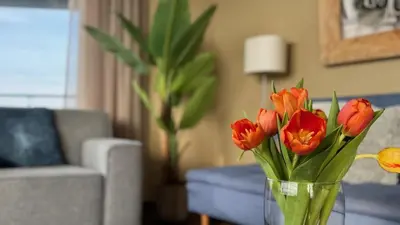 a vase with orange flowers in a living room at Sterflat 65 in Egmond aan Zee