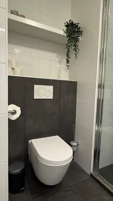 a bathroom with a white toilet and a shower at Sterflat 65 in Egmond aan Zee