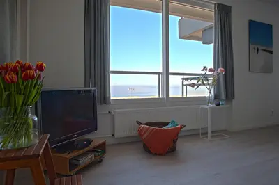 a living room with a television and a vase of flowers at Sterflat 63 in Egmond aan Zee