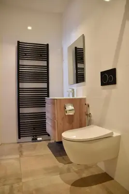 a bathroom with a toilet and a sink and a mirror at Hofje van Maas in Zandvoort