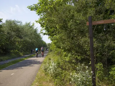 a group of people riding bikes down a road at Holiday Home in Noordwijk near the Beach in Noordwijk aan Zee