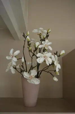 a white vase with white flowers in it at Waterland Vakantiehuis in Monnickendam
