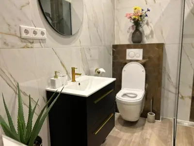 a bathroom with a toilet and a sink and a mirror at Lovely tiny house in Zandvoort
