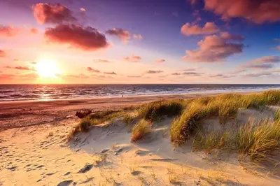 a sunset on a beach with grass in the sand at Cala Bassa Beach Boutique Apartments - Sea View in Overveen