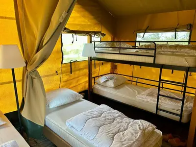 a room with three bunk beds and a lamp at Camping De Boerinn in Kamerik