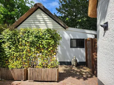 a house with a privacy hedge next to a building at Little Villa Lovely in Bergen