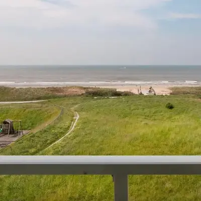 The Lookout