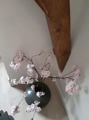 a plant in a vase sitting on a wall at De Kapelle in Oudewater in Oudewater
