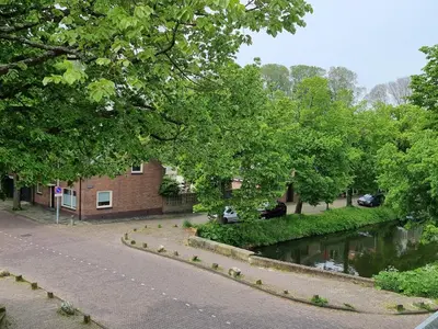 a street next to a river with trees and a building at Aan de Burgwal in Enkhuizen