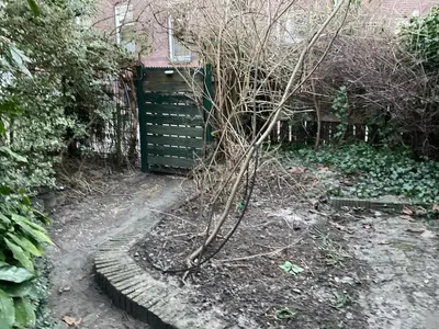 a small tree sitting in a yard next to a garage at Tiny house for 2 with private garden in Utrecht