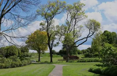 a path in a park with trees and grass at Tiny House in center Aalsmeer I Close to Schiphol & Amsterdam in Aalsmeer