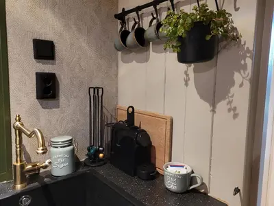 a kitchen counter with a sink with a coffee maker and a plant at B&B 't Maartensdijkse Bos in Maartensdijk