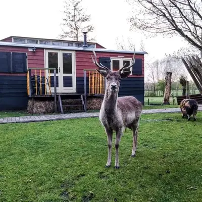 B&B 't Maartensdijkse Bos
