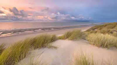 a sandy beach with tall grass and the ocean at Two Brothers Hotel Astoria in Noordwijk aan Zee