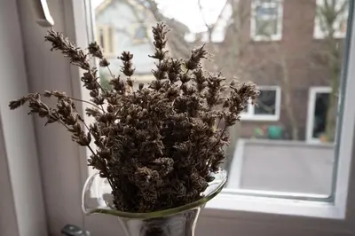 a vase filled with dried flowers on a window sill at Zomerhuisje Wijk aan Zee in Wijk aan Zee
