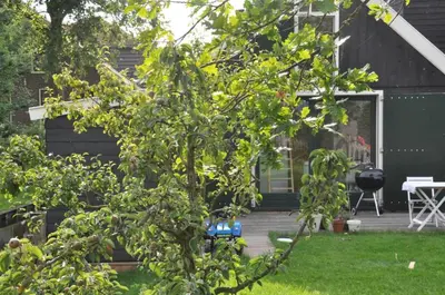 a tree in the yard of a house at Tiny house Watergang in Watergang