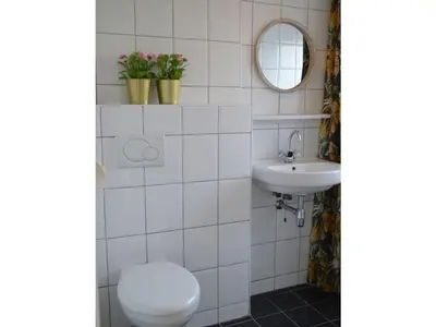 a bathroom with a toilet and a sink at Holiday apartment Seapaerdje in Bergen aan Zee