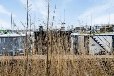 a field of tall weeds next to a boat at Luxurious waterloft near beach and centre by Weltevreden Experience in Zeewolde