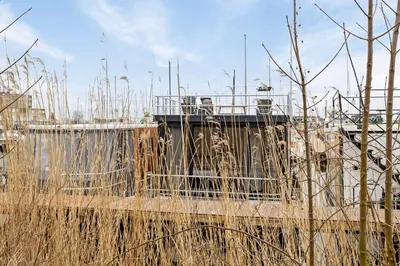 a tiger standing behind a fence in a field at Luxurious waterloft near beach and centre by Weltevreden Experience in Zeewolde