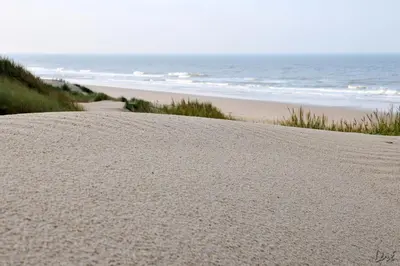 a sandy beach with the ocean in the background at Strandhotel de Vassy in Egmond aan Zee