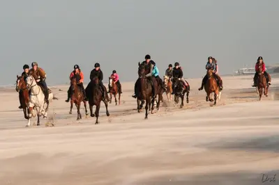 a group of people riding horses on the beach at Strandhotel de Vassy in Egmond aan Zee