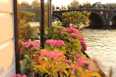 a bunch of flowers on a boat in the water at Houseboat Orpheus in Amsterdam