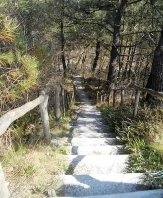 a stone path in a wooded area with a fence at Knusse vakantiewoning in Camperduin in Schoorl