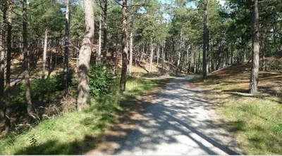 a dirt road in the middle of a forest at Knusse vakantiewoning in Camperduin in Schoorl