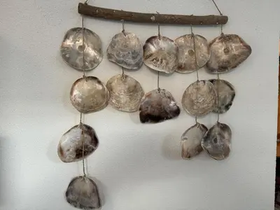 a group of shells hanging on a wall at Vakantiehuis aan Zee (100 meter van het strand) in Egmond aan Zee