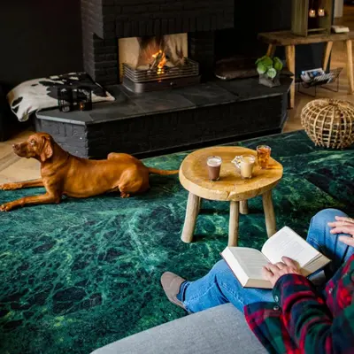 a dog laying on the floor next to a person with a book at Buitenplaats de Bergse Bossen in Driebergen