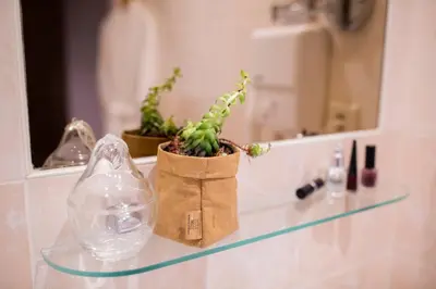 a potted plant sitting on a glass table at Buitenplaats de Bergse Bossen in Driebergen