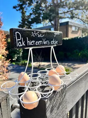 a bunch of eggs in a basket on a fence at Villa Park in Bennebroek