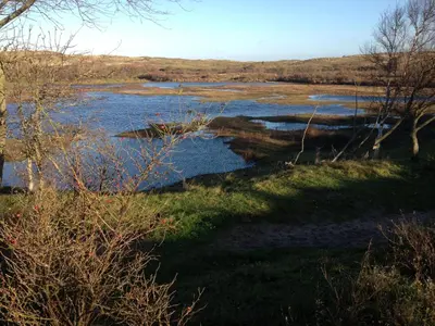 a view of a river with trees in a field at Sterflat 189 in Egmond aan Zee