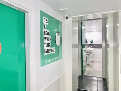 a bathroom with a green and white wall with a mirror at The White Tulip Hostel in Amsterdam