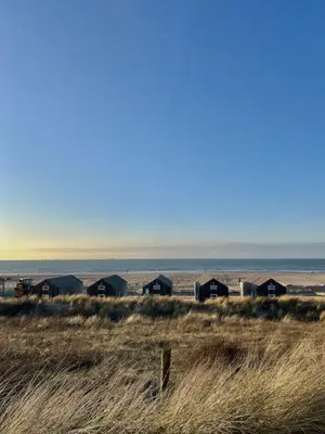 a group of houses in a field with the ocean at Sisters Beachbungalows in Katwijk aan Zee