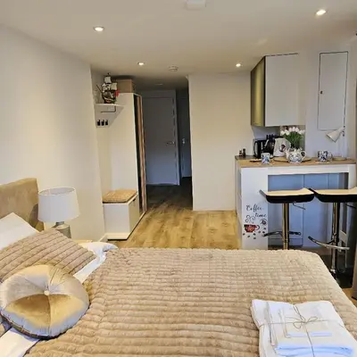 a large room with two beds and a kitchen at Il Mulino House A in Lisse