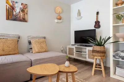 a living room with a couch and a tv at Historical Tiny Home (+Private Sauna) in Zandvoort