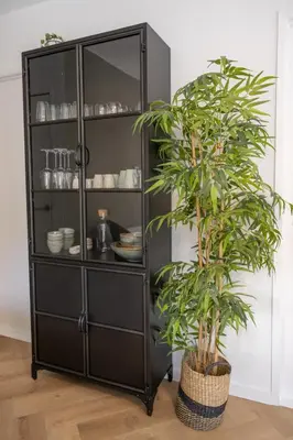 a black cabinet with a plant in a room at Kahakai Beach House - Unique Outdoor Kitchen - next to local lake and 15 min. the from beach in Noordwijkerhout