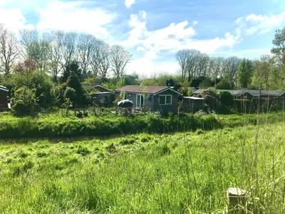 a house in the middle of a field at Rosa's zonnige huisje bij duinen bos en strand in Warmenhuizen