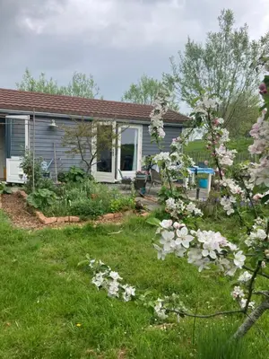 a house with pink flowers in the yard at Rosa's zonnige huisje bij duinen bos en strand in Warmenhuizen