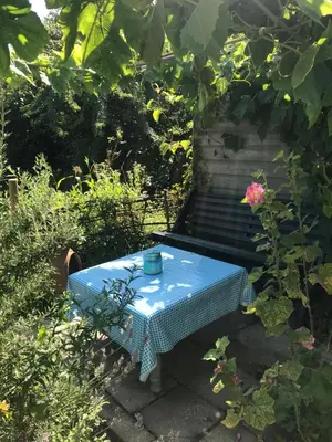 a blue table and a bench in a garden at Rosa's zonnige huisje bij duinen bos en strand in Warmenhuizen