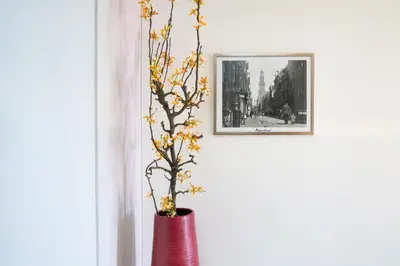 a red vase with a plant in it next to a picture at Huis met de krul in Amsterdam