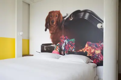 a dog is standing on the head of a bed at Qbic Amsterdam WTC in Amsterdam